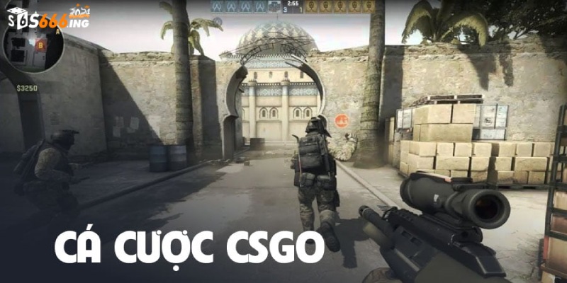 Cá độ CSGO là hình thức giải trí thú vị được nhiều người thích