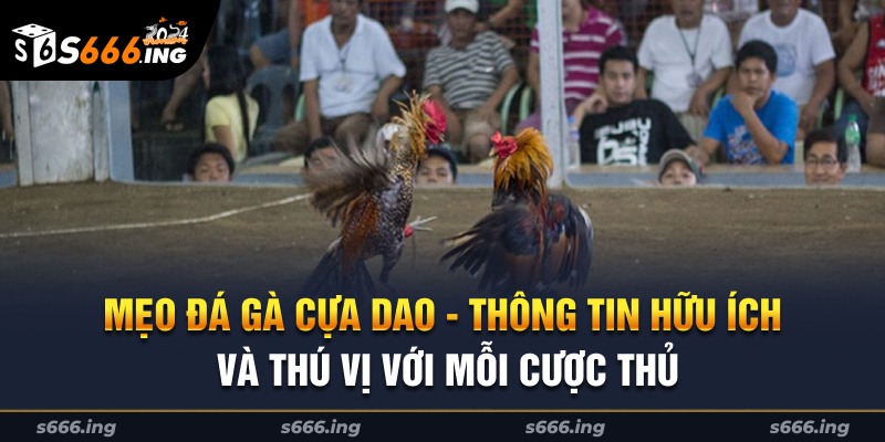 mẹo đá gà cựa dao