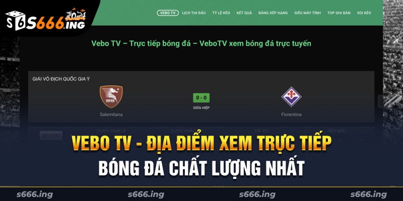 vebo tv