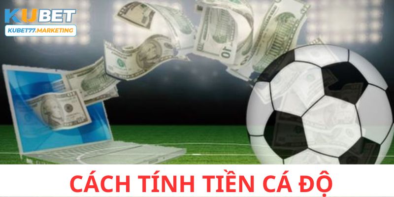 Cách Tính Tiền Cá Độ Được Áp Dụng Chuẩn Xác Nhất 2024