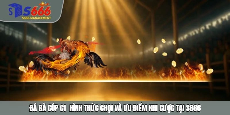 Đá Gà Cúp C1 - Hình Thức Chọi Và Ưu Điểm Khi Cược Tại S666